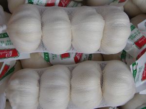 New Crop China Garlic Fresh and Cooling Pure White Garlic
