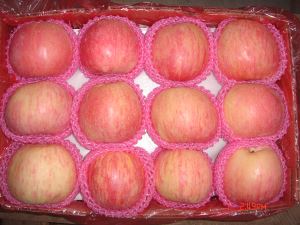 New Crop China Yantai Shanxi Fresh Fuji Apple