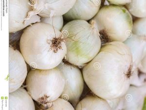 New Crop Premium White Sweet Onion for Dehydrated Onion Purpose
