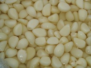 Premium High and Low Concentration S M L Grade Garlic in Brine