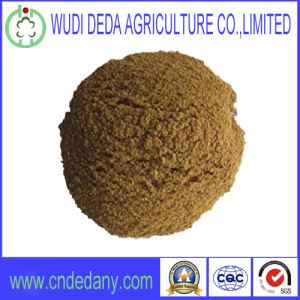 Meat And Bone Meal Animal Feed 50%protein Competitive Price