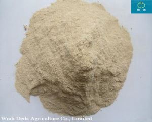 Protein Powder Rice Protein Meal Animal Feed Poultry Feed and Livestocks Feed High Protein with Low Price