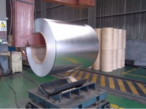 Hot Dip Galvanised Steel Sheet for Cold Room and Construction
