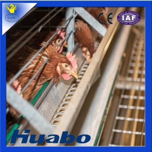 Poultry Farm Layer Cage