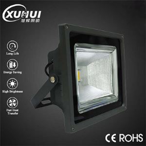 CE Customized LED Reflector Aluminum LED Flood Light Garden Light Meanwell Driver
