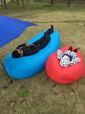 New Style Of Inflatable Sleeping Bed Parrent-child Air Lounger From Manufacturer