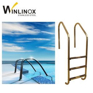 Pool Accessories Stainless Steel Swimming Pool Handrail With Step Ladder