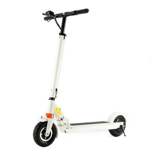 Fashion New Design 2 Wheel Stand Up Electric Scooter