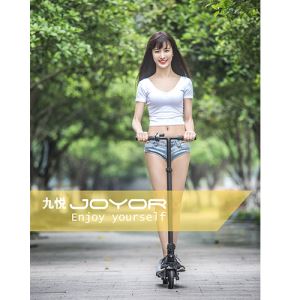 Mini Electric Kick Scooter Lithium Battery with Height Adjustment