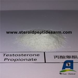 Best Bodybuilding Injectable Bulking Steroid Hormone Testosterone Propionate Prop Test P Powder for Muscle Growth