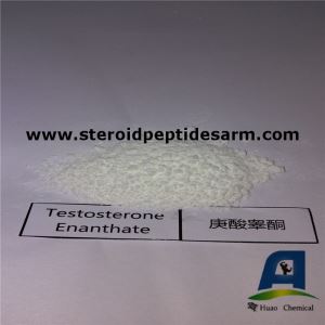 Injectable Hormone Primoteston Muscle Mass Testosterone Enanthate Steroid Test E Powder for Bodybuilding
