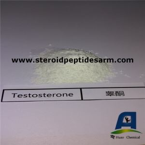 Injectable Testosterone No Ester Anabolic Steroid Powder Test Suspension Base for Muscle Strength