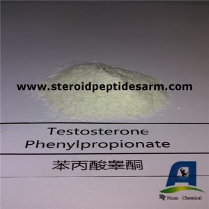 Muscle Gain and Fat Loss Raw Injectable Steroid Powder Test Testosterone Phenylpropionate PP Powder for Bodybuilding