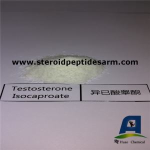 Safety Cutting Cycle Steroids Testosterone Powder Test Isocaproate Recipe for Muscle Building