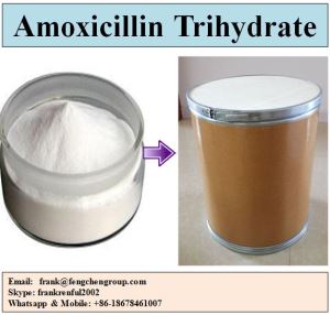 Amoxicillin or Amoxycillin Trihydrate Compacted Powder Micronized CAS 61336-70-7