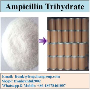 Ampicillin Trihydrate Compacted or Powder CAS 7177-48-2