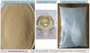 Choline Chloride 50% 60% 70% 75% Powder Feed Grade 98% Food Grade 99% Pharmaceutical Grade CAS 67-48-1