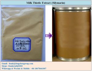 Milk Thistle Extract or Silymarin 80% CAS 65666-07-1