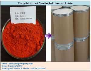 Marigold Extract Xanthophyll, Lutein Powder 2% to 80%