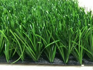 What Grass Do They Use On Football Fields