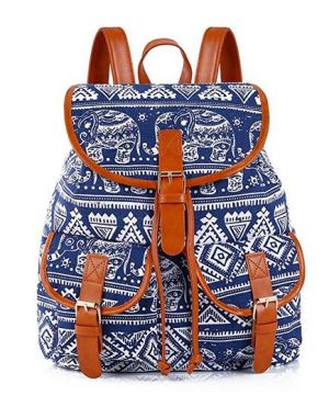 Women Girls Students Casual Jeans Backpack or Daypack