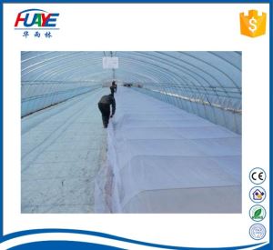 UV Protect Weed Control Fruite Cover For Agriculture Using 100% PP Spunbond Nonwoven Fabric