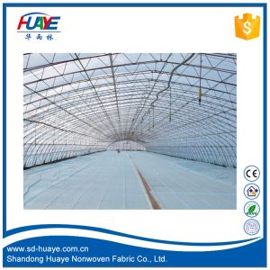 PP Spunbond Non-Woven Fabric Using for Agriculture