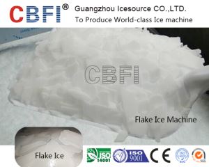 500 Kg Automatic Fresh Water Flake Ice Machine on Land for Sea Food Cooling