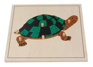 Beechwood Preschool Equipment for Montessori Turtle Puzzle