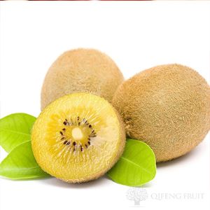 wholesale organic Yellow Golden Kiwifruit  importer nutritious  juice calories suppliiers varieties
