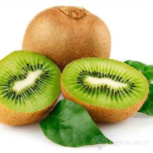 wholesale bulk organic Green Hyward Kiwi Fruit price in stock plant benefits nutritious  juice suppliiers