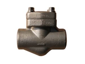 Forged Steel SS CS Check Valve ANSI 800LB A105N