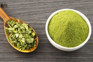 Green Tea Powder | Peng Xiang 25kg Can Packaged Green Tea Matcha Powder