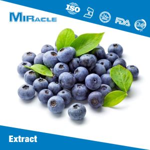 Bilberry Extract|Acai Berry Extract|Anthocyanidins|Anthocyanins Powder for Sale
