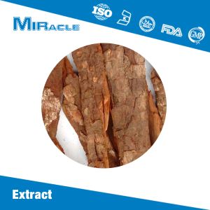 Maca Root Extract|Tongkat Ali Extract Powder for Sale