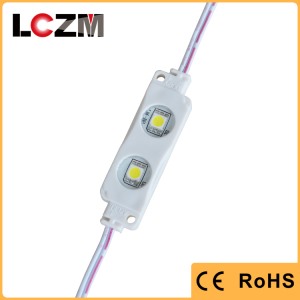High Quality Waterproof LED Module 5050 2LEDs Red Yellow Blue Green White