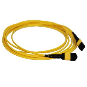 12 Fiber Optic MPO APC to MPO APC Singlemode OS2 Trunk Patch Cable Termination