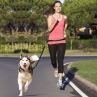 Reflective Bungee Hands Free Dog Running Leash with Waist