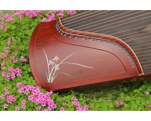 Chinese 21 String Zither Chinese Harp Redwood Guzheng Koto for Beginners Carved with the Orchid