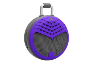 Winnershine Bluetooth Speaker Module