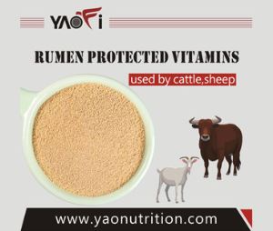 Best Feed Grade Ruminant Feed Additive Coated Vitamins in Animal Feed Nutrition