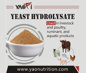 Best Nutritional Active Brewers Yeast Hydrolyzate Powder