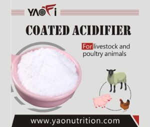 Feed Additives for Pigs Poultry Coated Acidifier Powder formula for Chicken