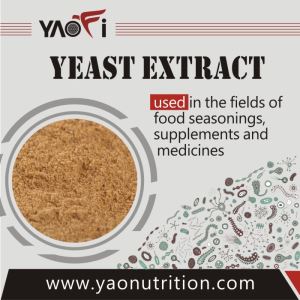 Yellow Brown Nutritional Natural High Quality Yeast Extract powder