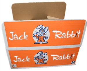 Double Flute Brown/white Carton Box with Genital Colors Printing Packaging for Fresh Carrot