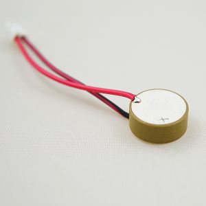 Piezo Disc with Wire Leads