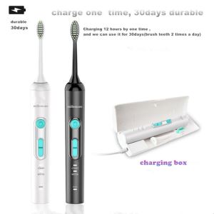 Ultrasonic Adult Electronic Toothbrushes Factory With OEM Service