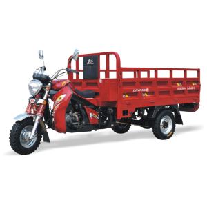 Adult 200cc Durable Petrol Three Wheel Motorcycle Heavy Loading with Auto Dumper for Cargo