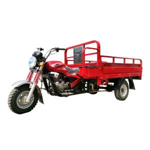 Newest Durable Petrol 175cc Three Wheel Motorcycle Heavy Loading for Cargo