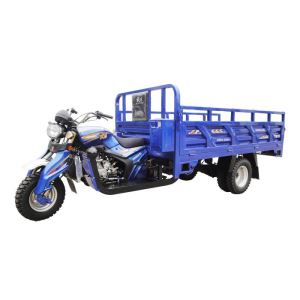 Water-cooled Adult Three Wheel Motorcycle 250cc Auto Dumper Heavy Load for Cargo